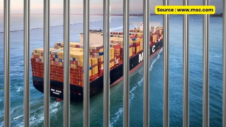 MSC Vessel Faces Arrest After Causing Damage, Raising Safety Concerns on Cooper River